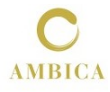 Ambica Dhatu Pvt Ltd